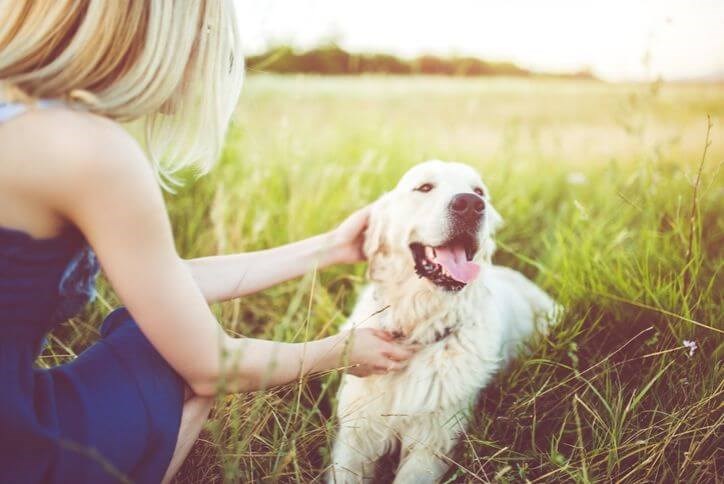 Young woman with a happy golden retriever | Canyon Falls in Texas